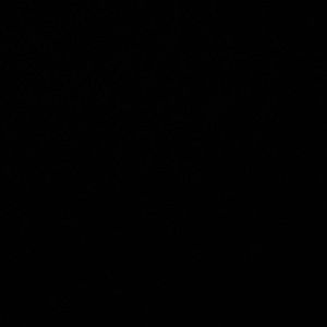 Meet your Posher, Parm